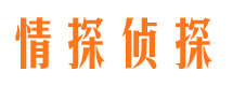 莲花市婚外情调查